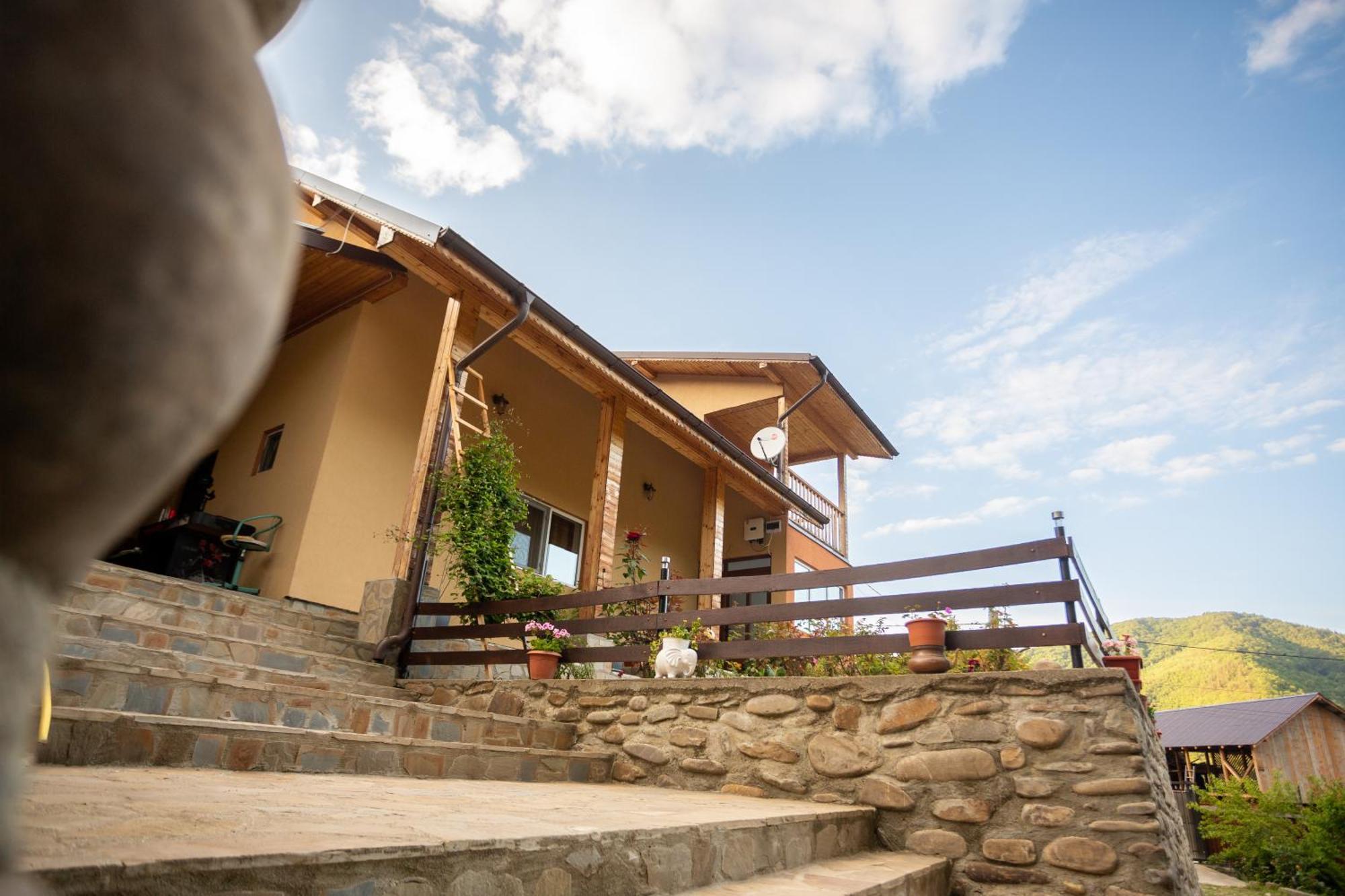 Casa Rumelia Paltineni Kültér fotó