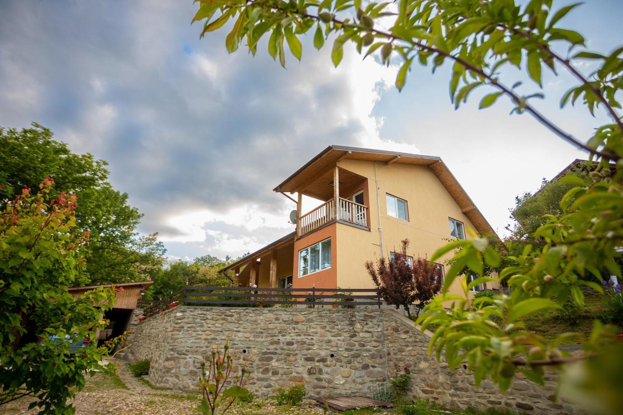 Casa Rumelia Paltineni Kültér fotó