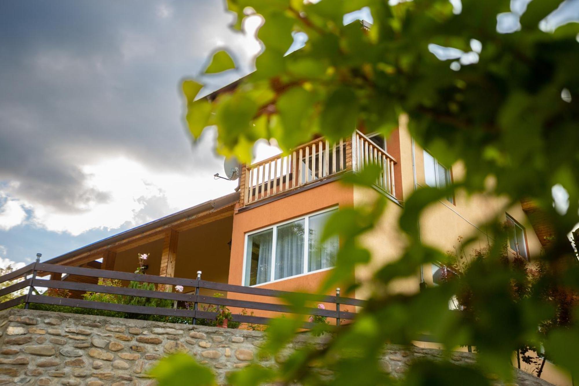 Casa Rumelia Paltineni Kültér fotó