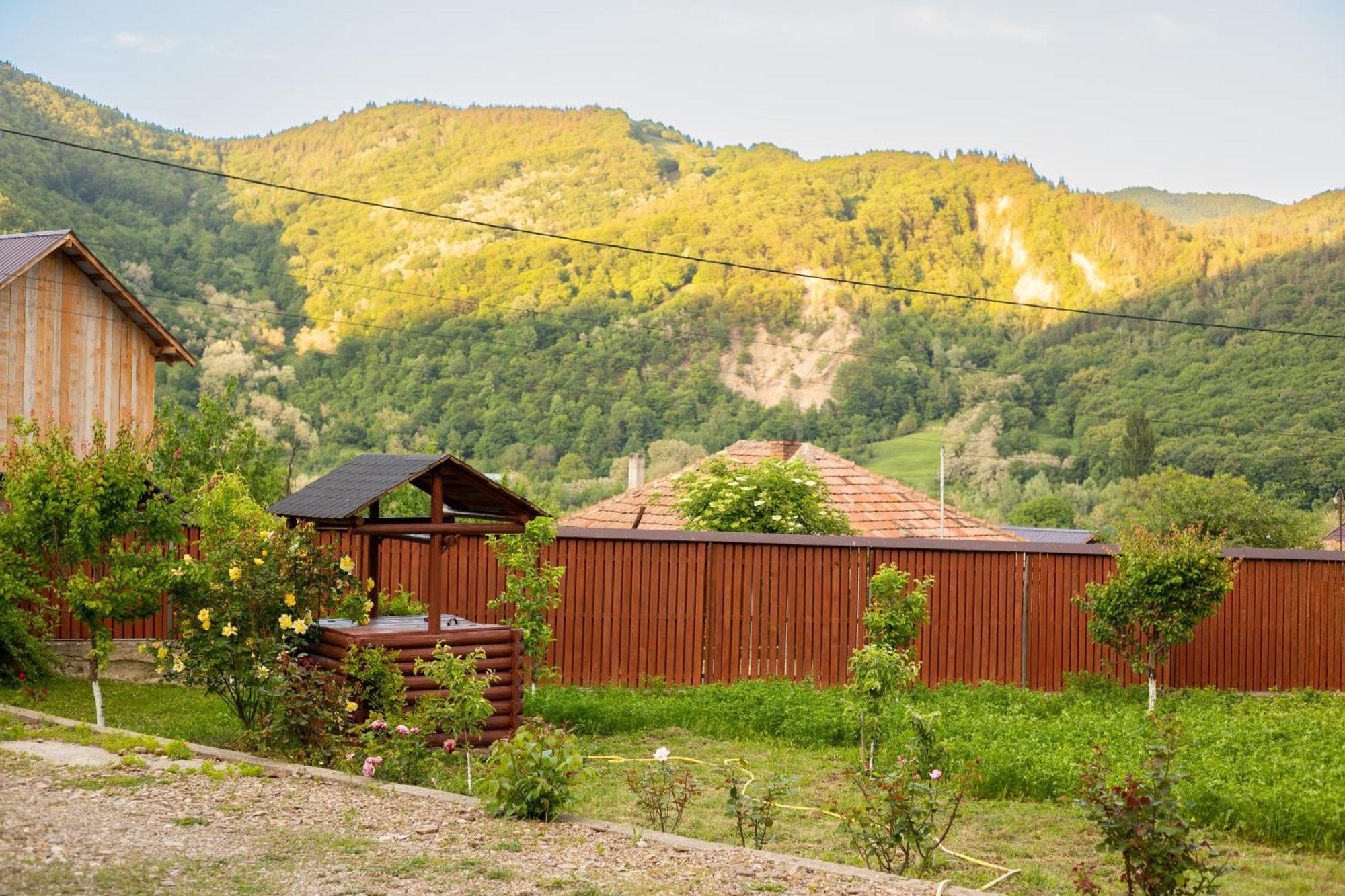Casa Rumelia Paltineni Kültér fotó